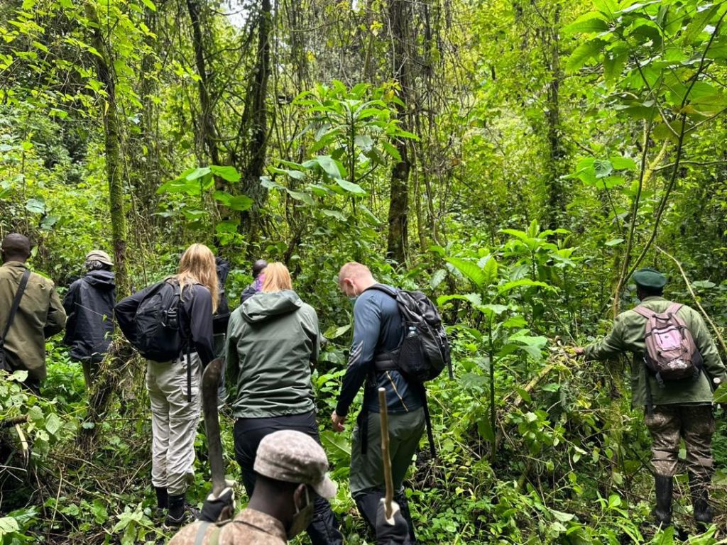 Bwindi Impenetrable National Park
