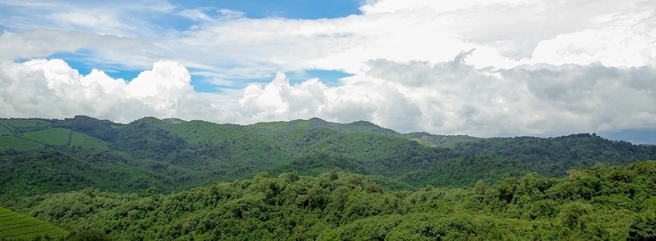 Kibale National Park