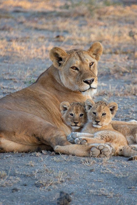 Murchison Falls National Park