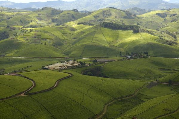 the land of thousand hills of Rwanda