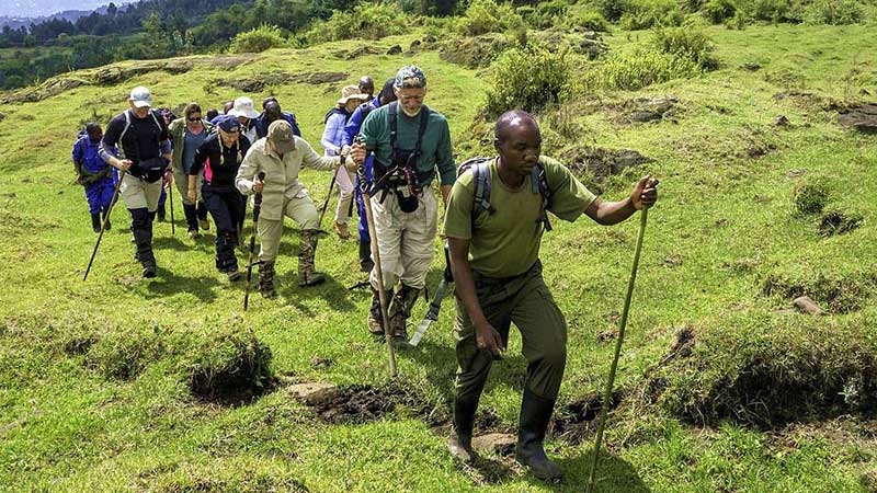 tourist in volcano national park