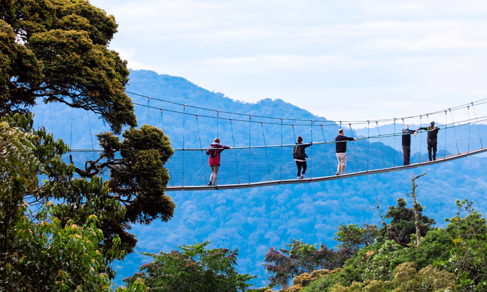 canopy walk
