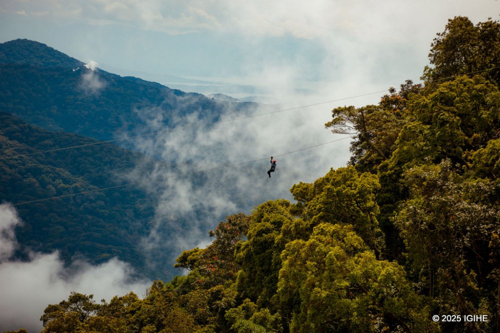 zipline in nyungwe