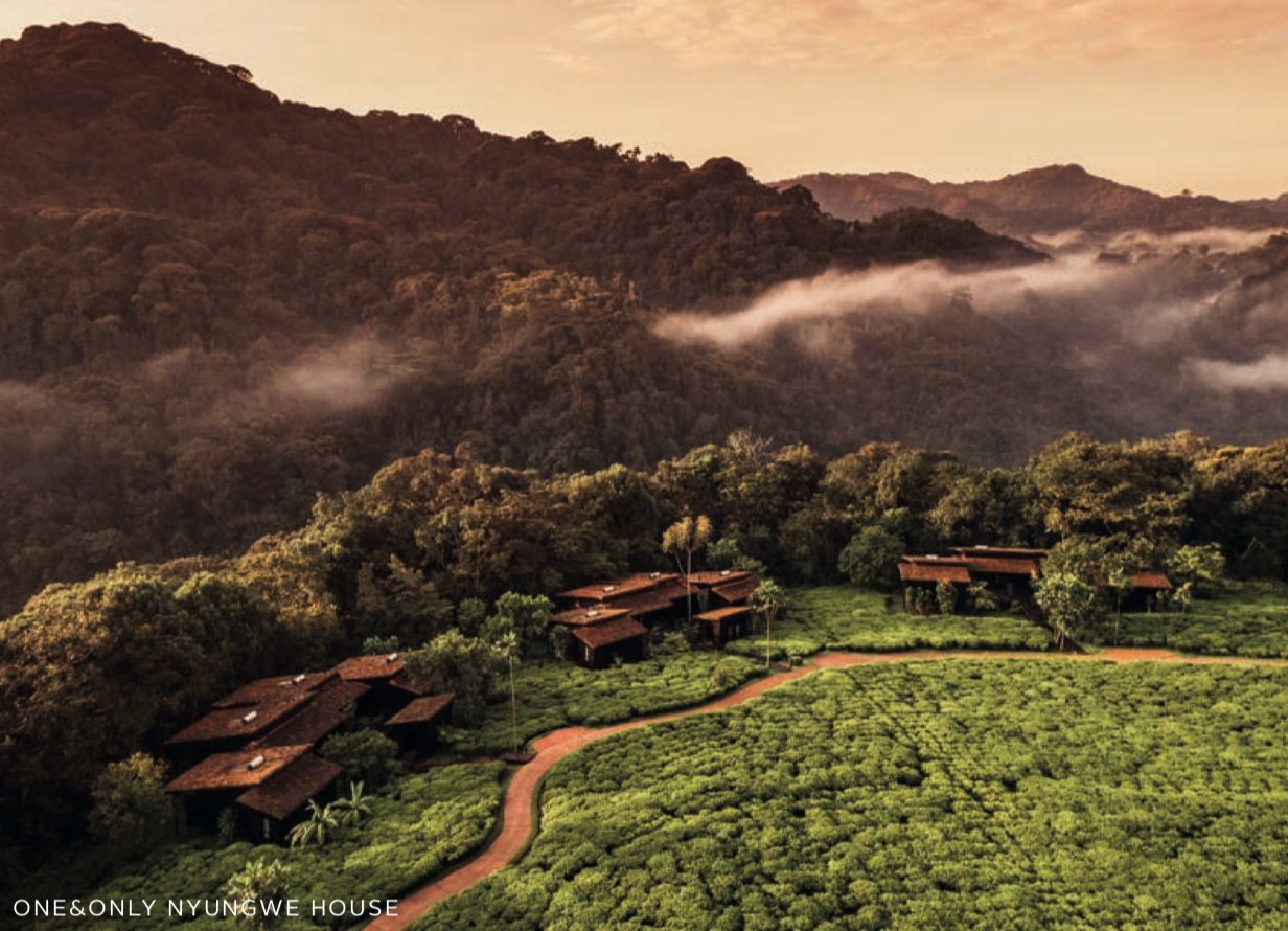 one and only nyungwe house