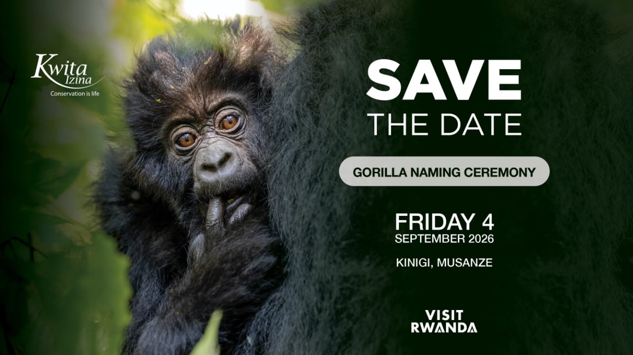 Kwita Izina 2026 Rwanda: Gorilla Naming Ceremony & Gorilla Trekking Safari with Seek Wild Africa