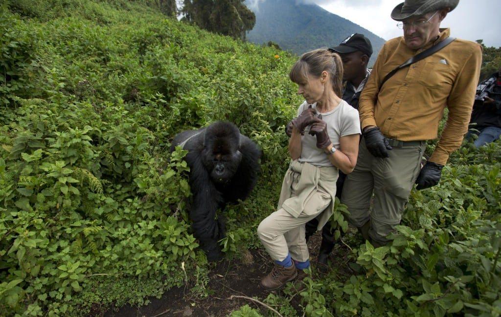 Gorilla Trekking in Rwanda: The Complete 2026 Guide to Volcanoes National Park