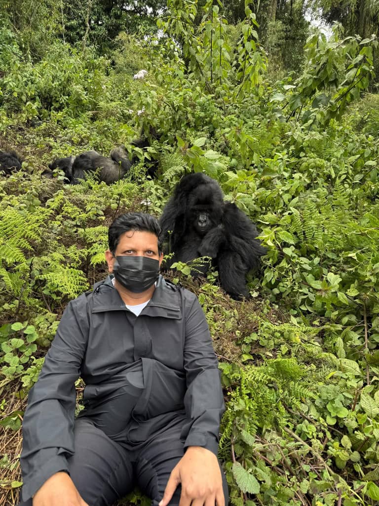 Gorilla Trekking in Volcanoes National Park Rwanda – Complete 2026 Travel Guide By Seek Wild Africa